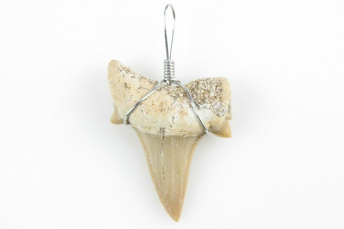 .75" to 1.25" Wire Wrapped Otodus Shark Tooth Pendant - Morocco - Photo 1
